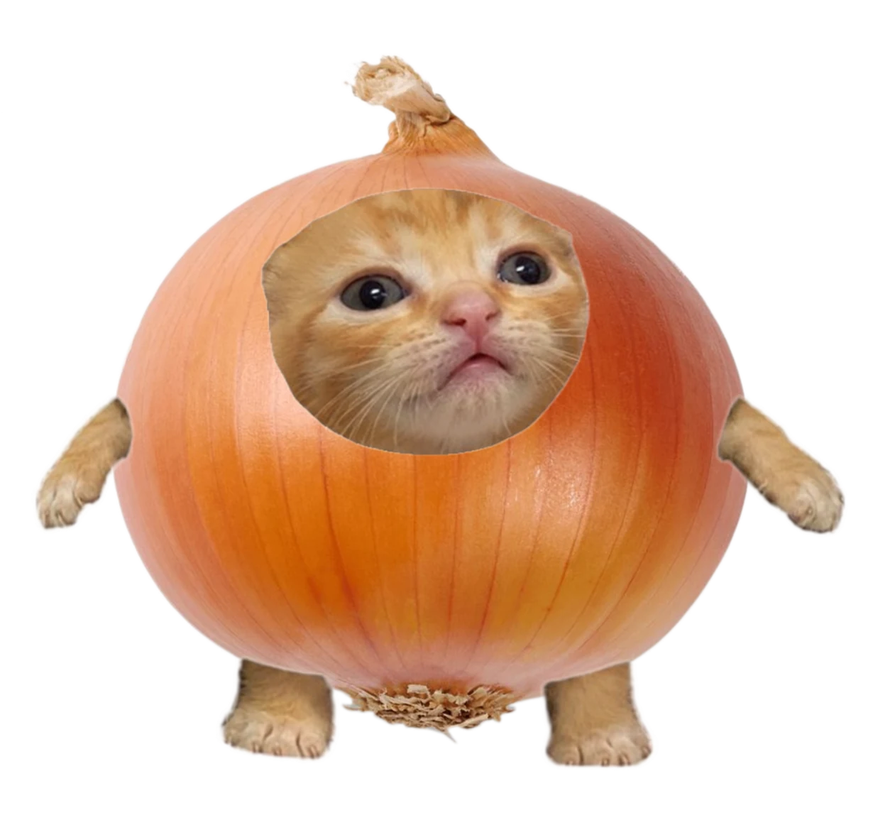Onion Cat